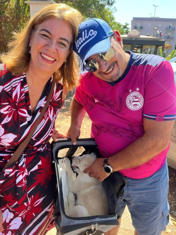 Como adotar um Pet na Itália