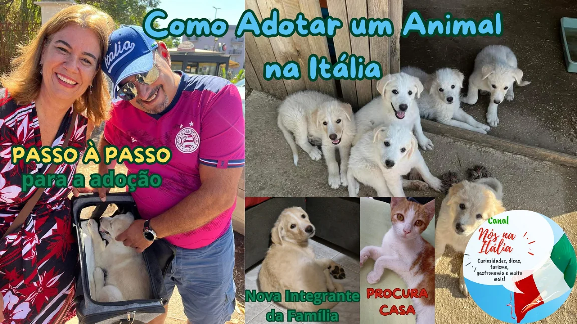 Como adotar um Pet na Itália
